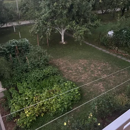 Rayhaan Sarajevo