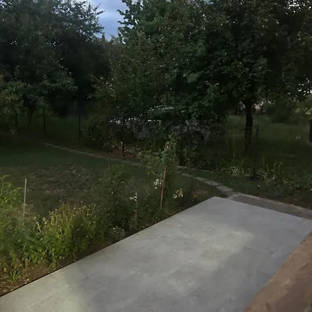 Rayhaan